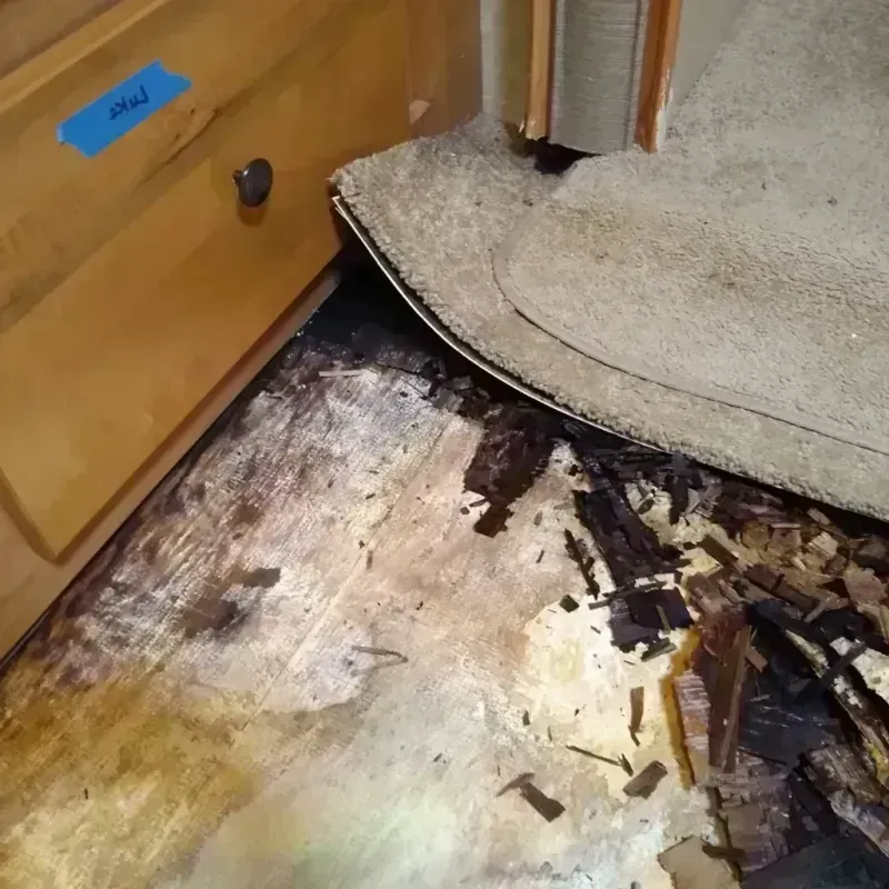 Wood Floor Water Damage in Claremore, OK